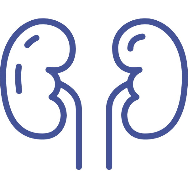 Cáncer de riñón